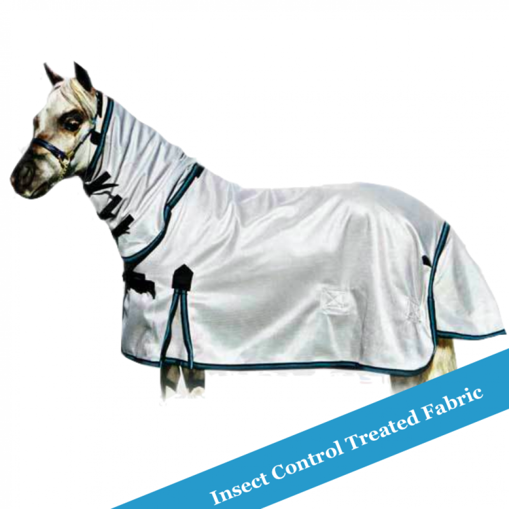 Shop Horse Rugs WILD Horse