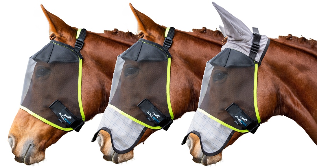 FV41 FV43 FV45_yellow trim_4311