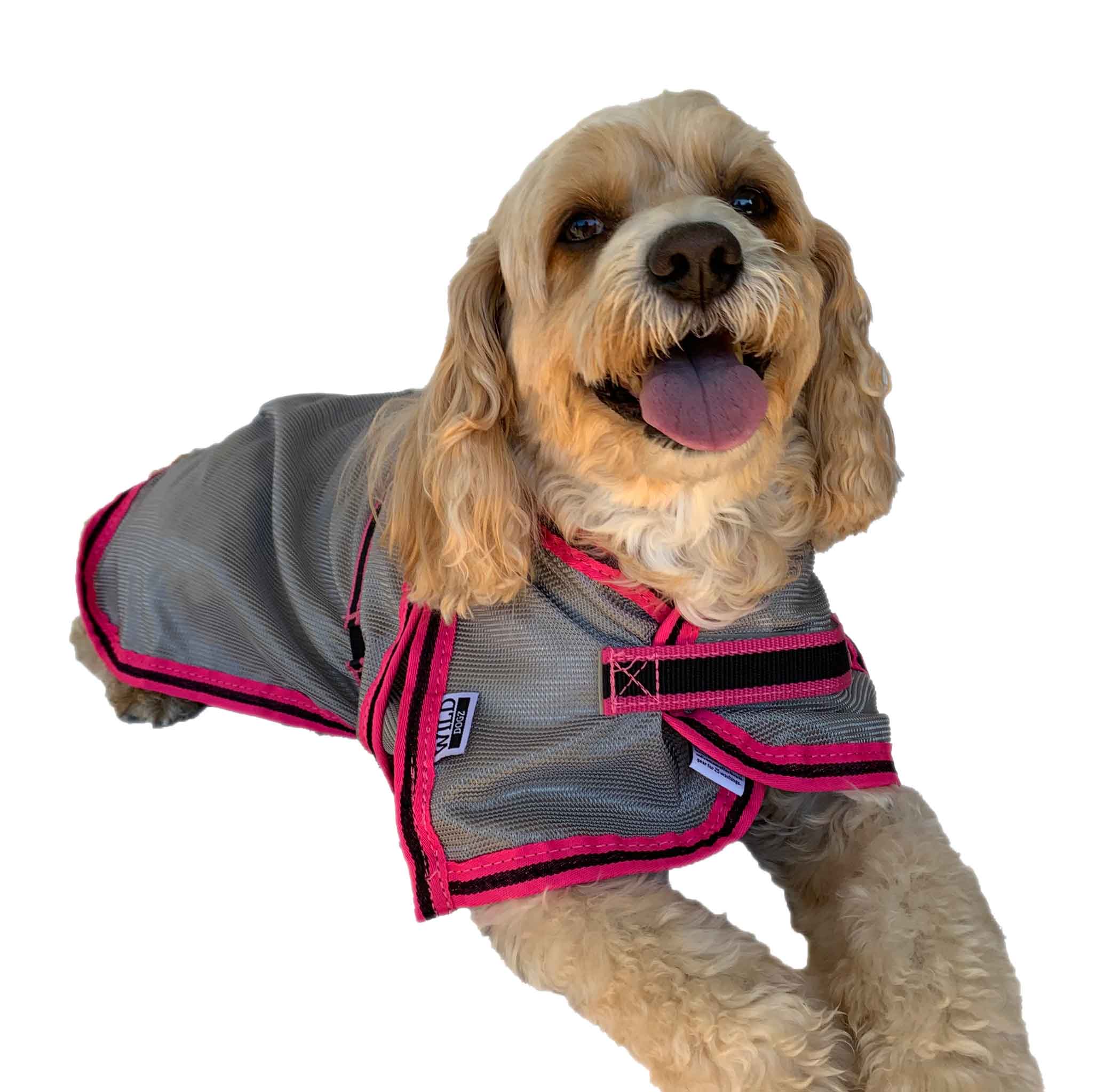 Silver-pink-trim-dog-coat