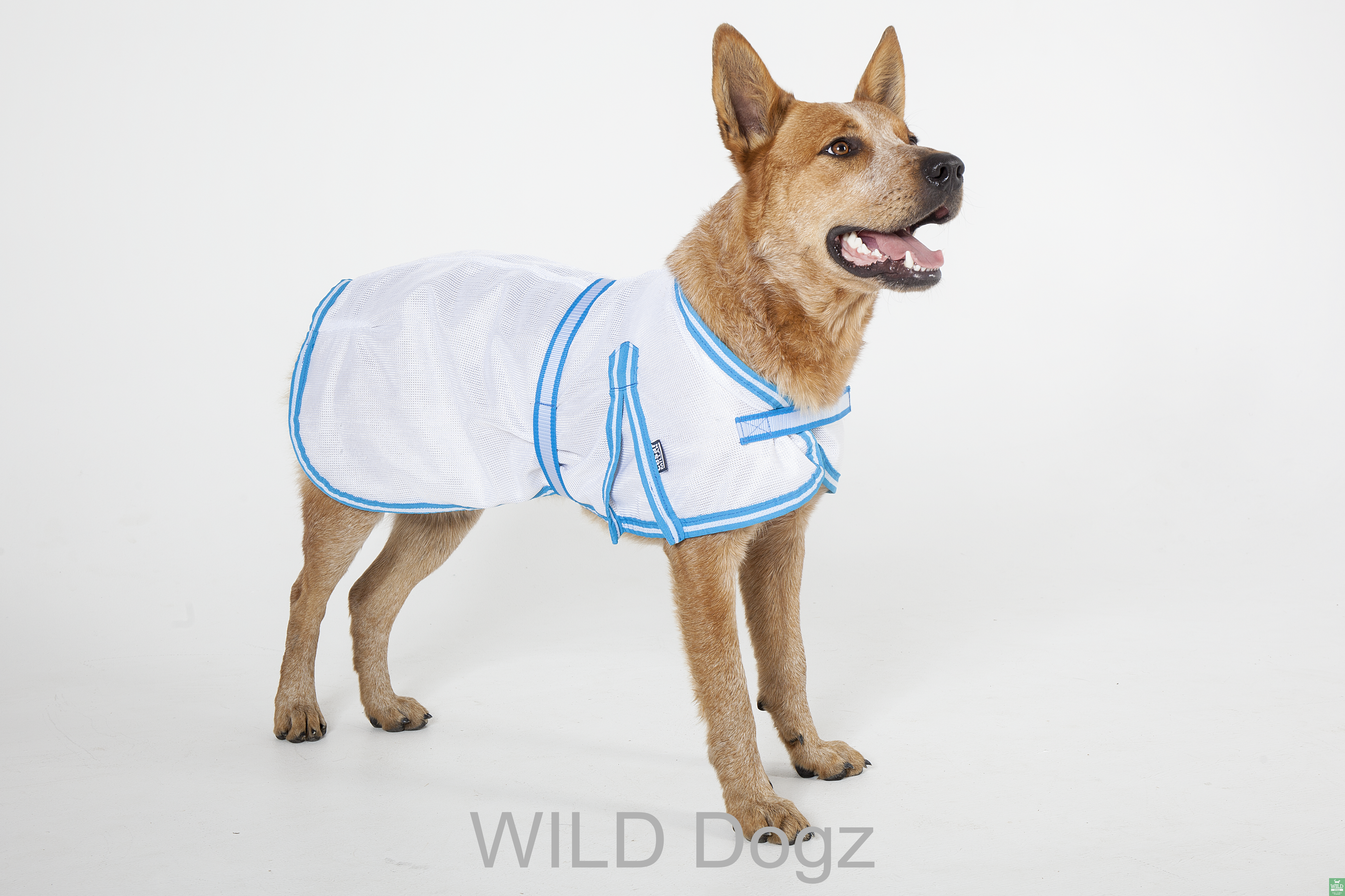 Insect Control – White Mesh Coat – Blue Trim 2XS ( Small brown mark)