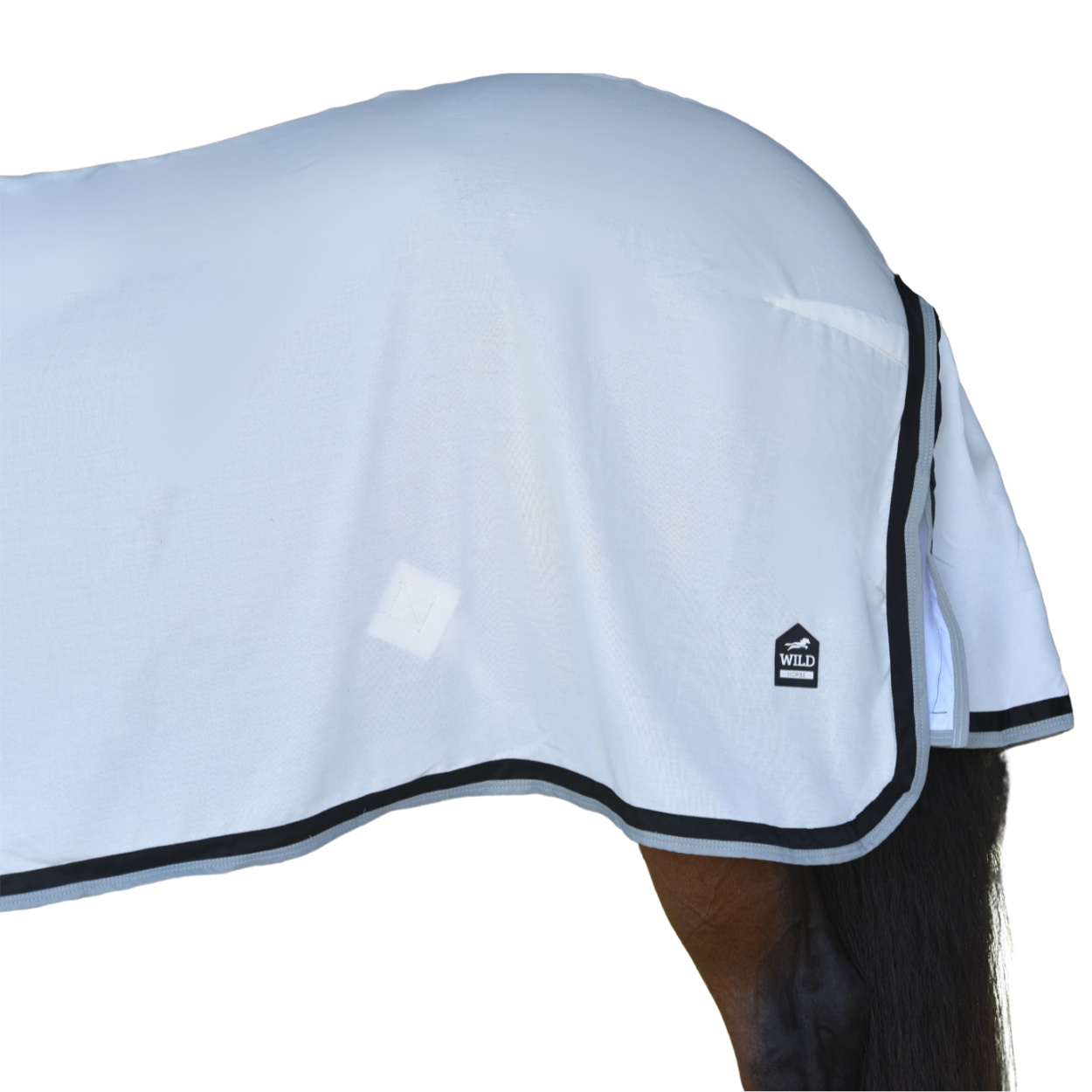 Flag bum webite