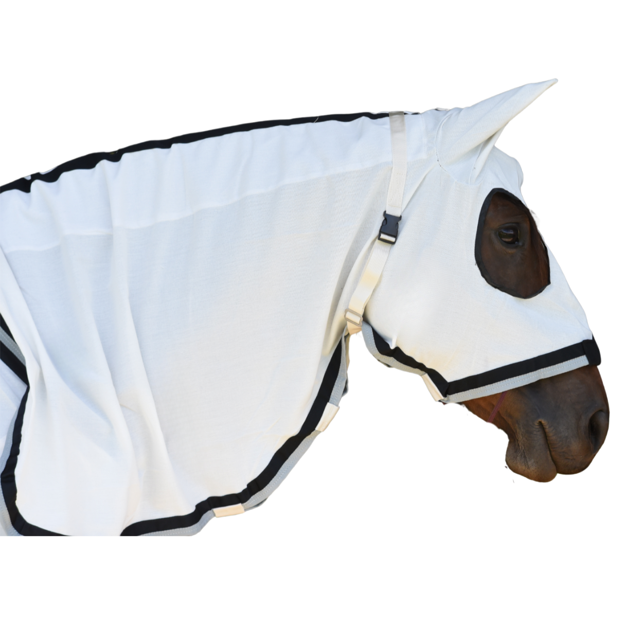 Flag hood website