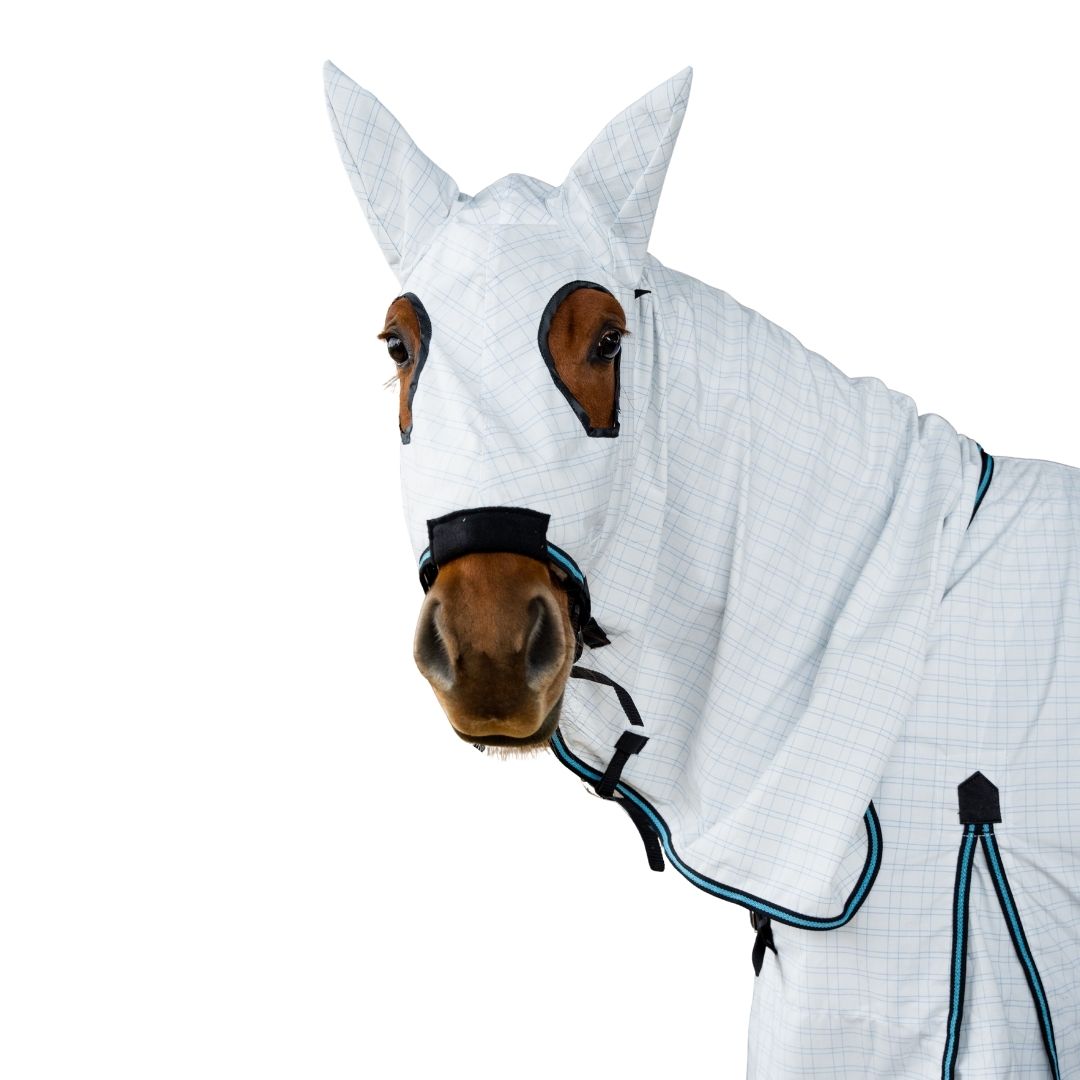 Copy of 32 Copy of 32