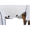 belly website